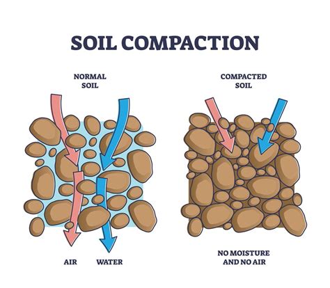 does the excavator of the mason compact the soil|SOIL COMPACTION AND STABILITY .